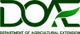 LOGO_DOAE_PNG -8
